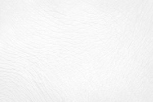 background peau d'éléphant hôtel Baan Mama