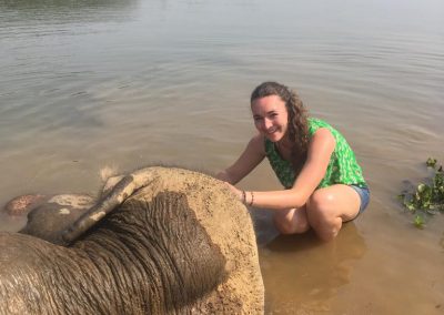 Baignade avec les éléphants