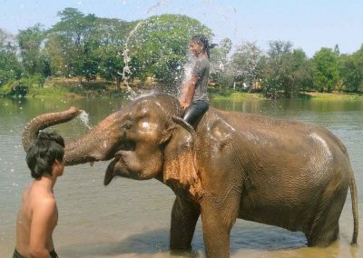 Journée Découverte 2019 Baan Mama Elephant