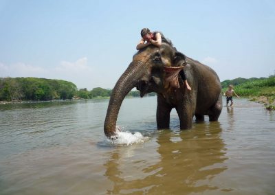 Volontariat 2019 Baan Mama Elephant