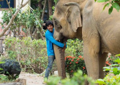 Toon et Tao Baan Mama Elephant Kanchanaburi Thailande
