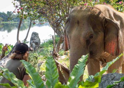 Mama et Tao Baan Mama Elephant Kanchanaburi Thailande