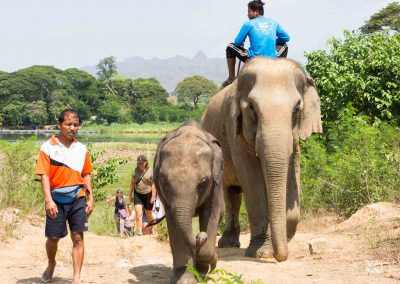 Formule Baan Mama 2019 Elephant Kanchanaburi Thailande