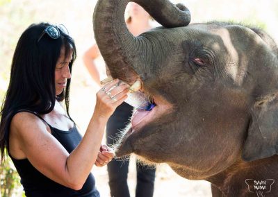 Volontariat 2019 Baan Mama elephant