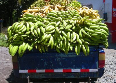 Camion de banane Baan Mama Thailande Kanchanaburi