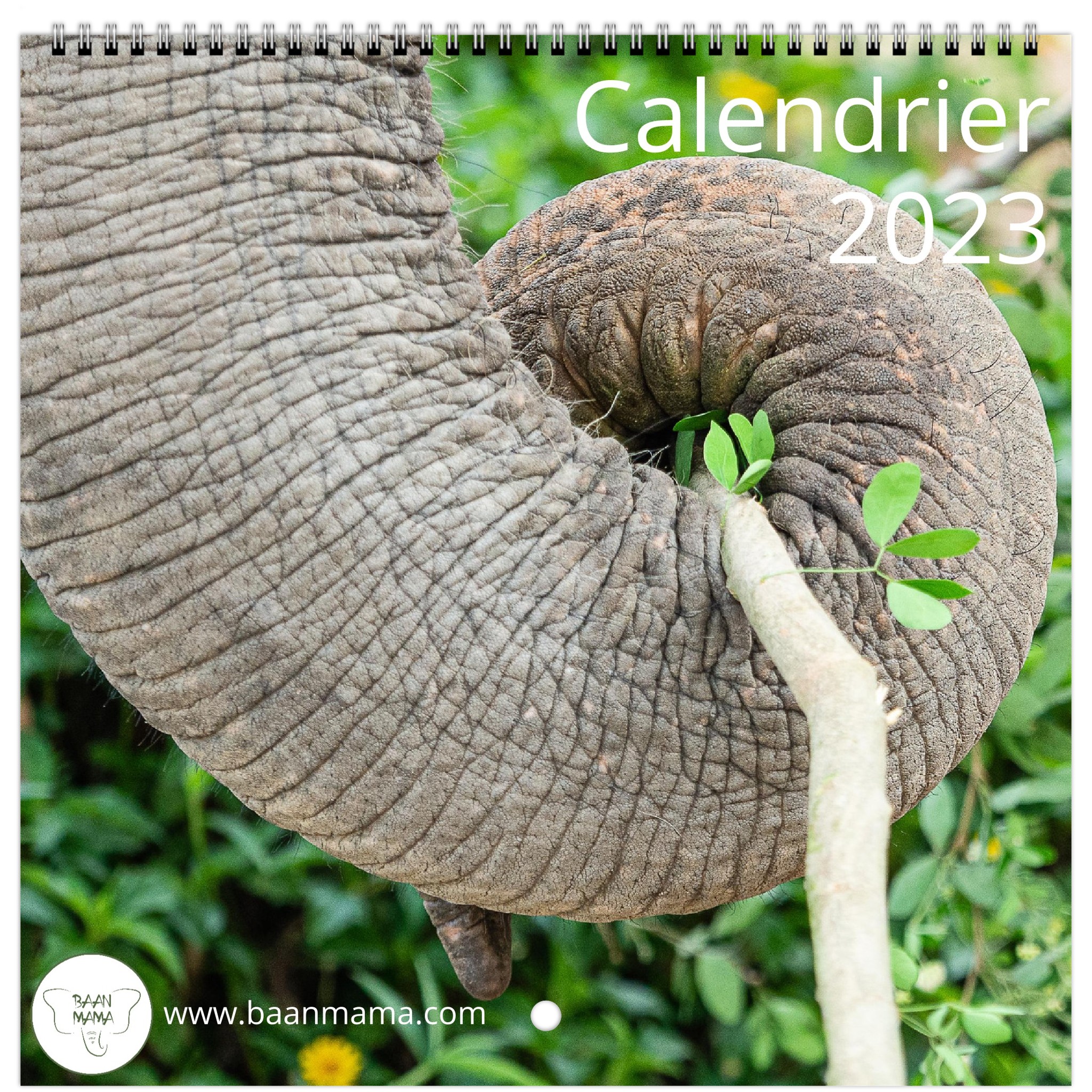 couverture calendrier 2023 Baan Mama